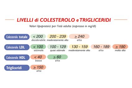 trigliceridi e colesterolo alti dieta