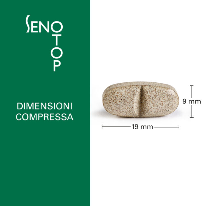 SenoTop_dimensioni