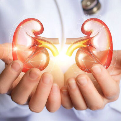 Kidneys