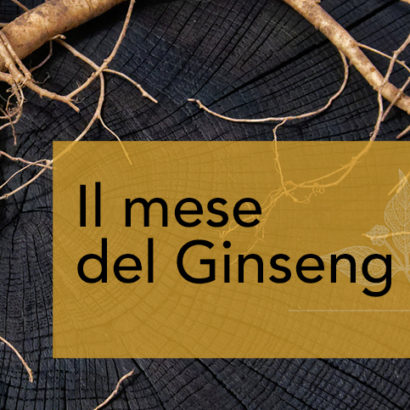 il mese del ginseng