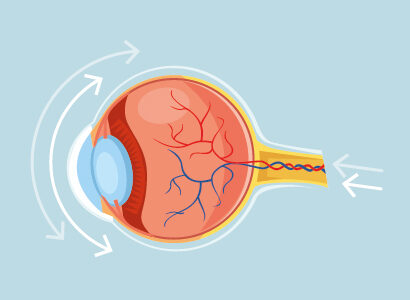 eyes Oftalia