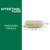 Intestinal Flora_dimensioni