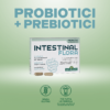 intestinal-flora-ita1
