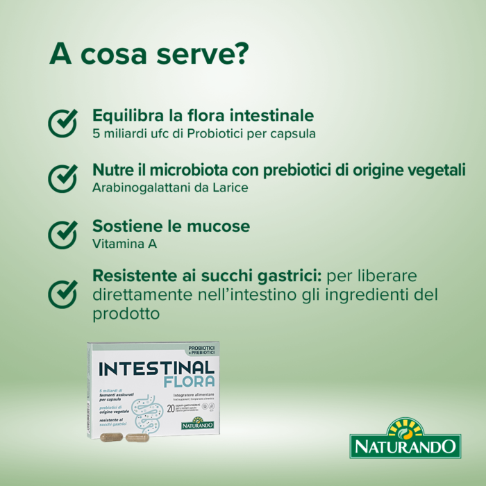 intestinal-flora-ita2