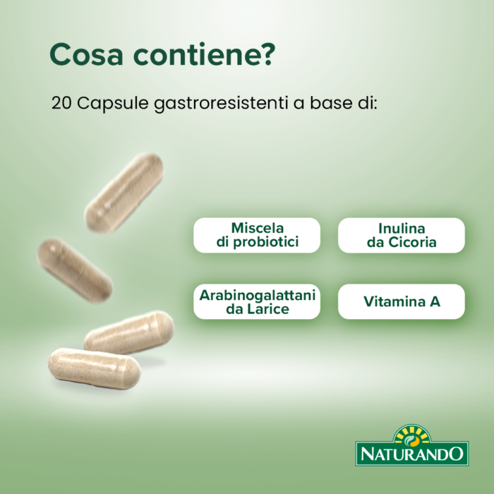 intestinal-flora-ita3