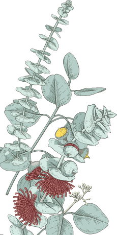 NATURANDO_Herbs02
