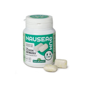 Nauseagum