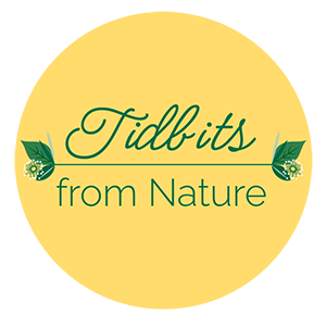 Tidbits from Nature